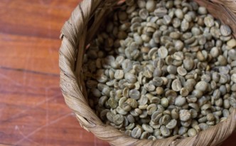 Unroasted coffee beans at Finca Rosa Blanca | Costa Rica