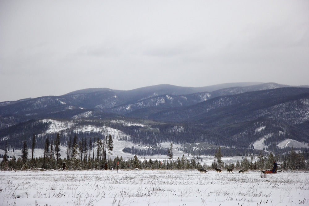 Dog sledding through the mountains | Winter Park, Colorado