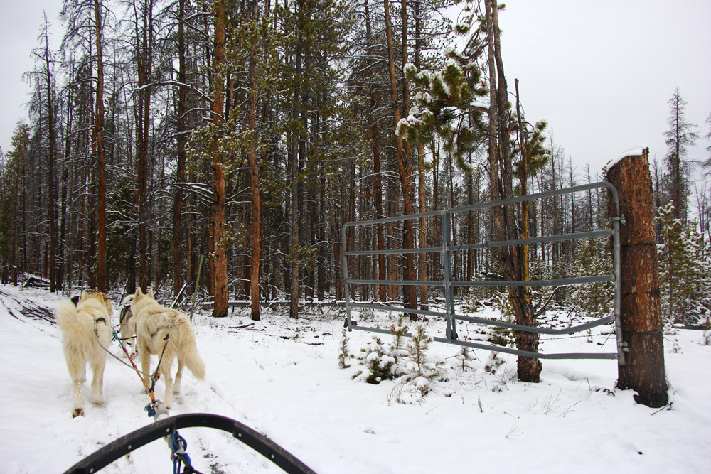 Going through the fence | Winter Park, Colorado