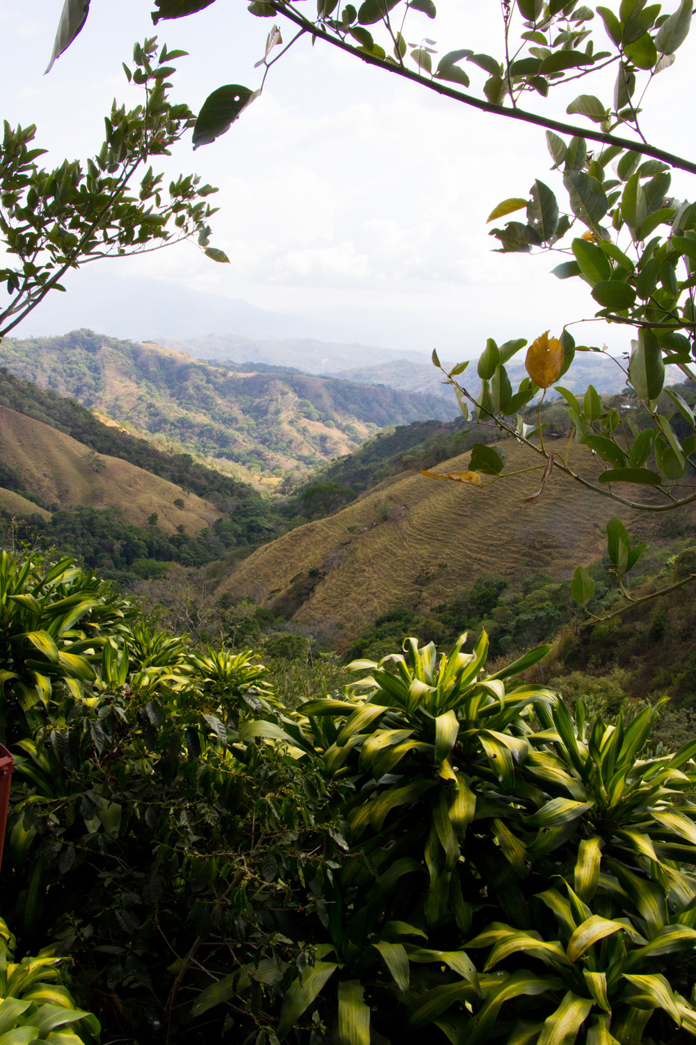 Mountain view | Costa Rica