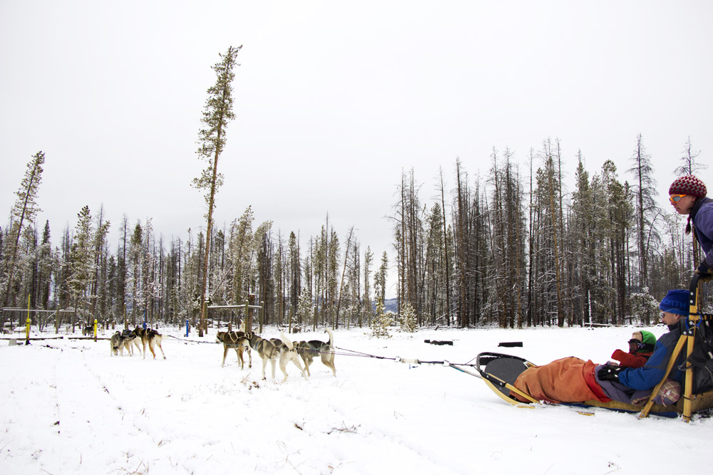 Sled returning home | Winter Park, Colorado