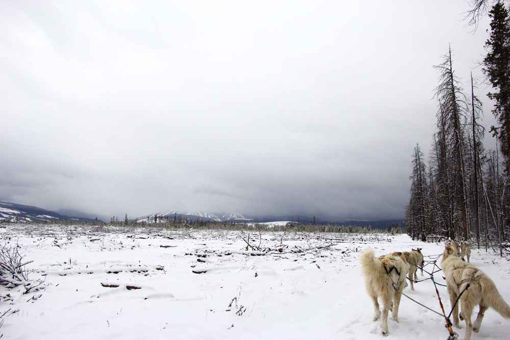 Sledding with Winter Park Ski Resort in the distance | Colorado