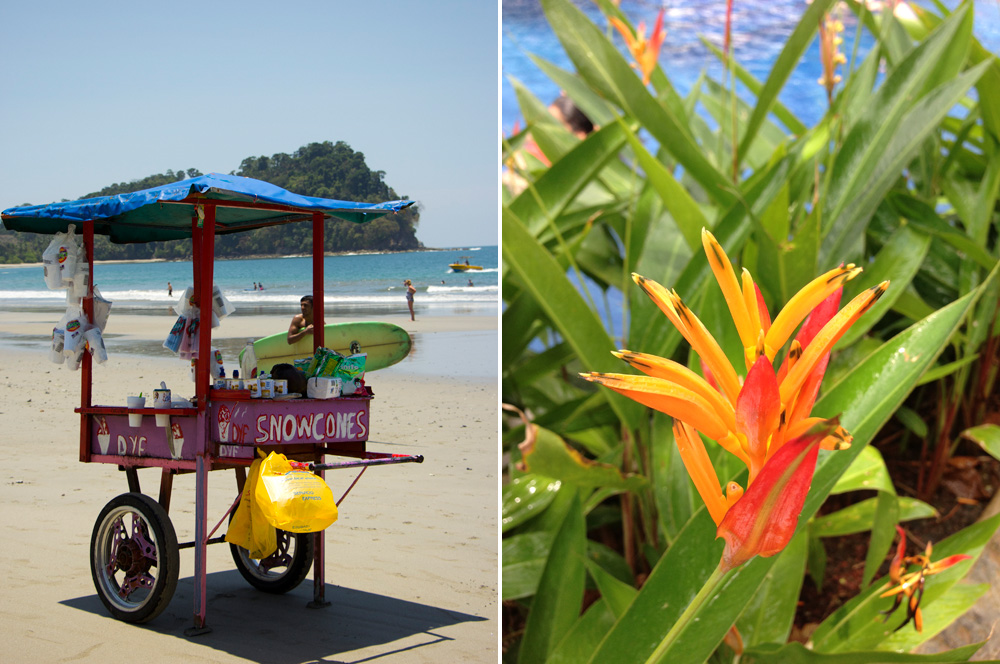 Snowcones and tropical flowers | Costa Rica