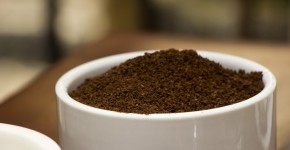 Coffee cupping | Finca Rosa Blanca, Costa Rica