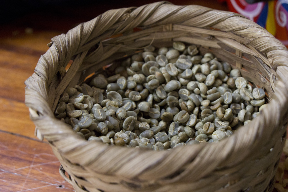 Unroasted coffee beans | Finca Rosa Blanca | Costa Rica