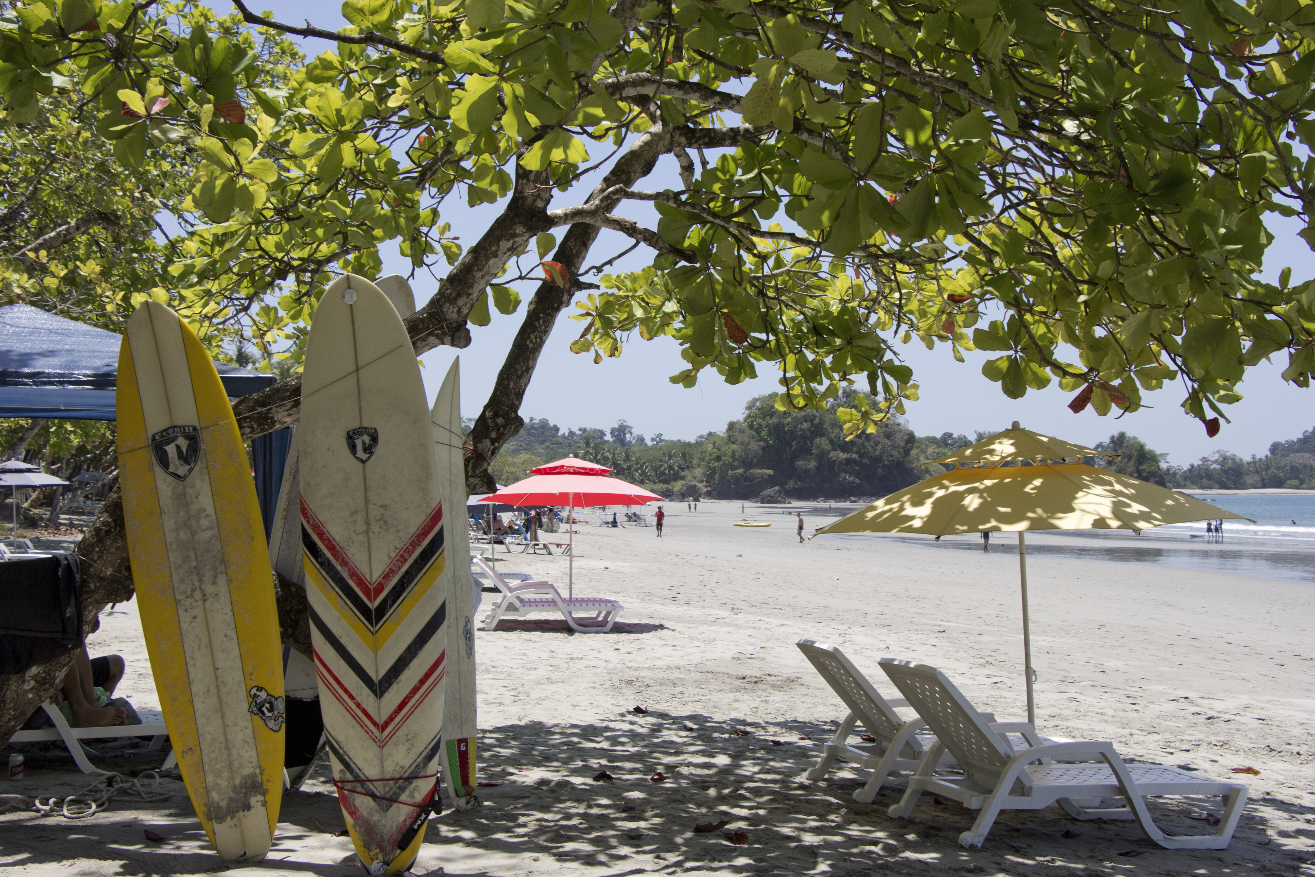 Surfboards in the shade | Manuel Antonio, Costa Rica
