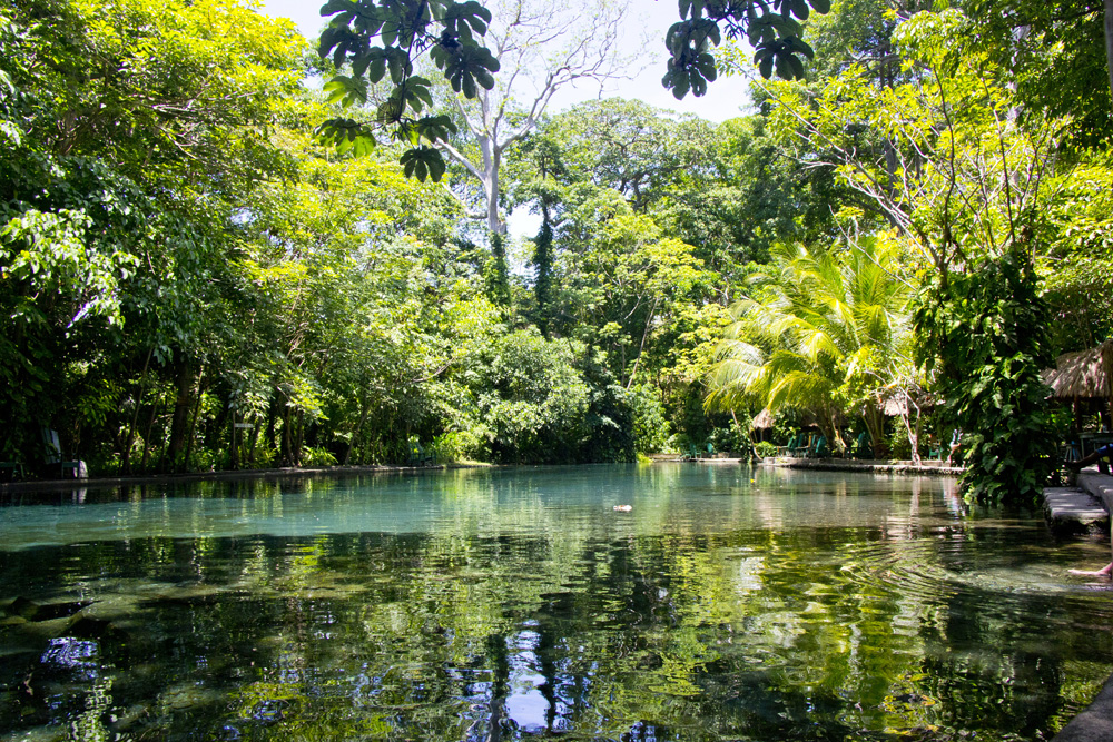 Ojo de Agua pool | Ometepe, Nicaragua
