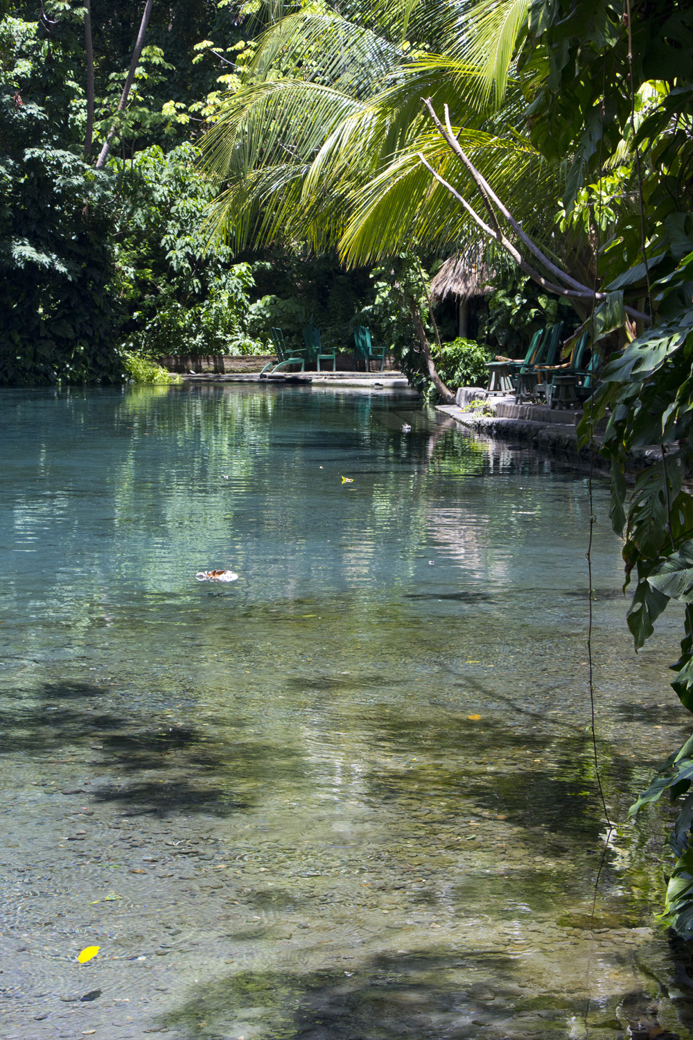 Pool and palms at Ojo de Agua | Ometepe, Nicaragua