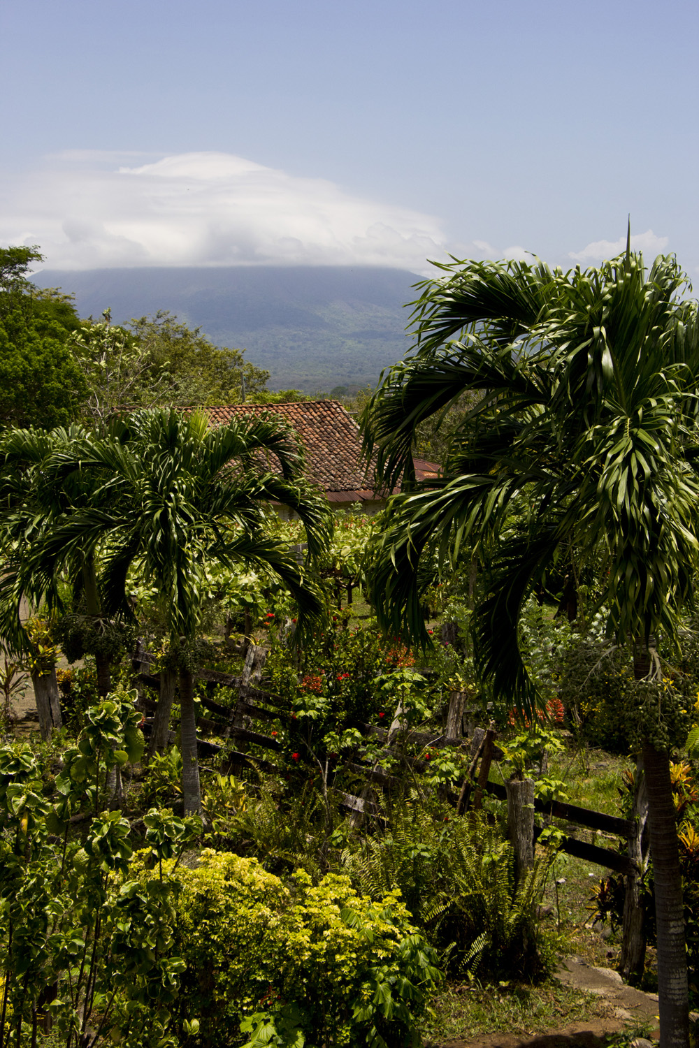 Concepcion viw at Finca Magdalena | Ometepe, Nicaragua