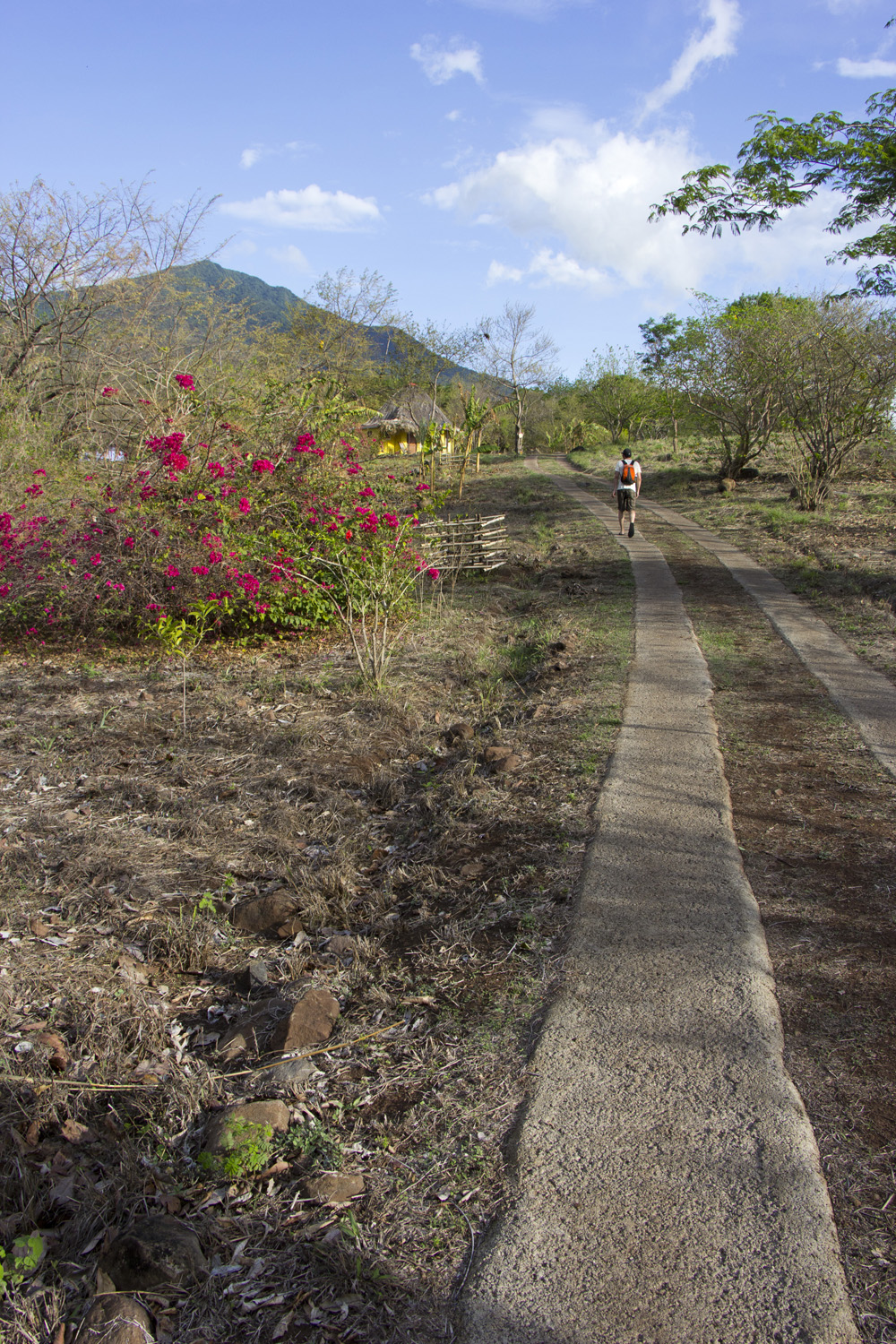 Finca del Sol main driveway | Ometepe, Nicaragua