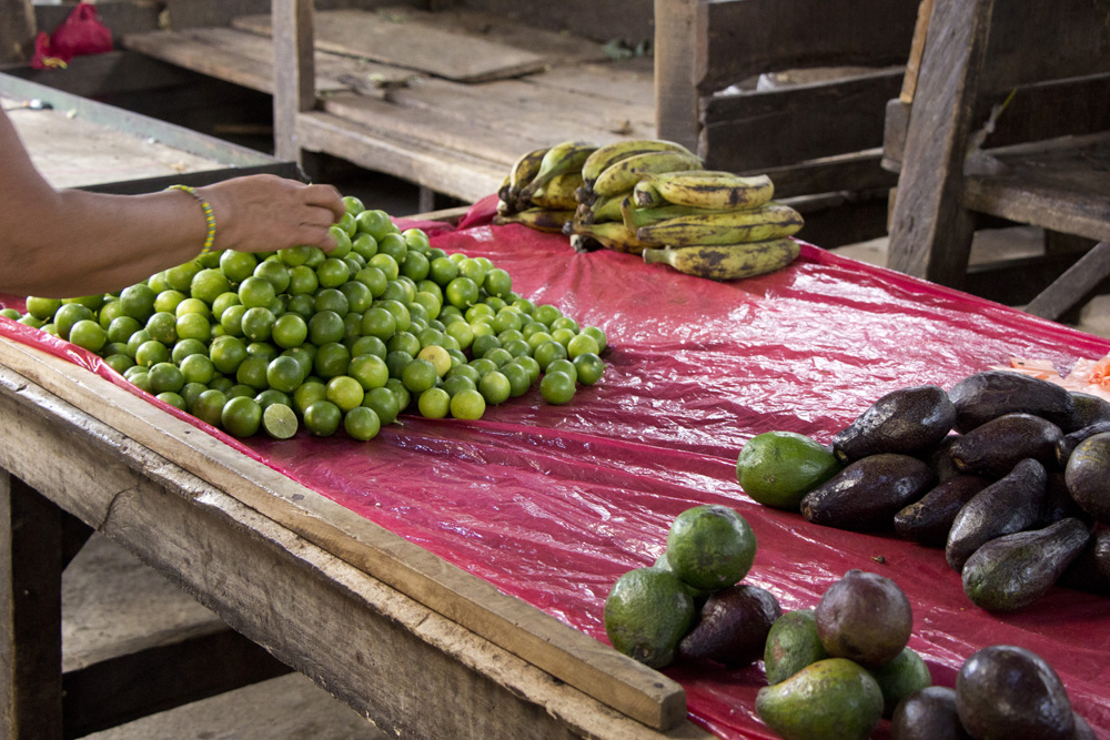 Limes, avocados, and bananas at the Central Market | Granada, Nicaragua
