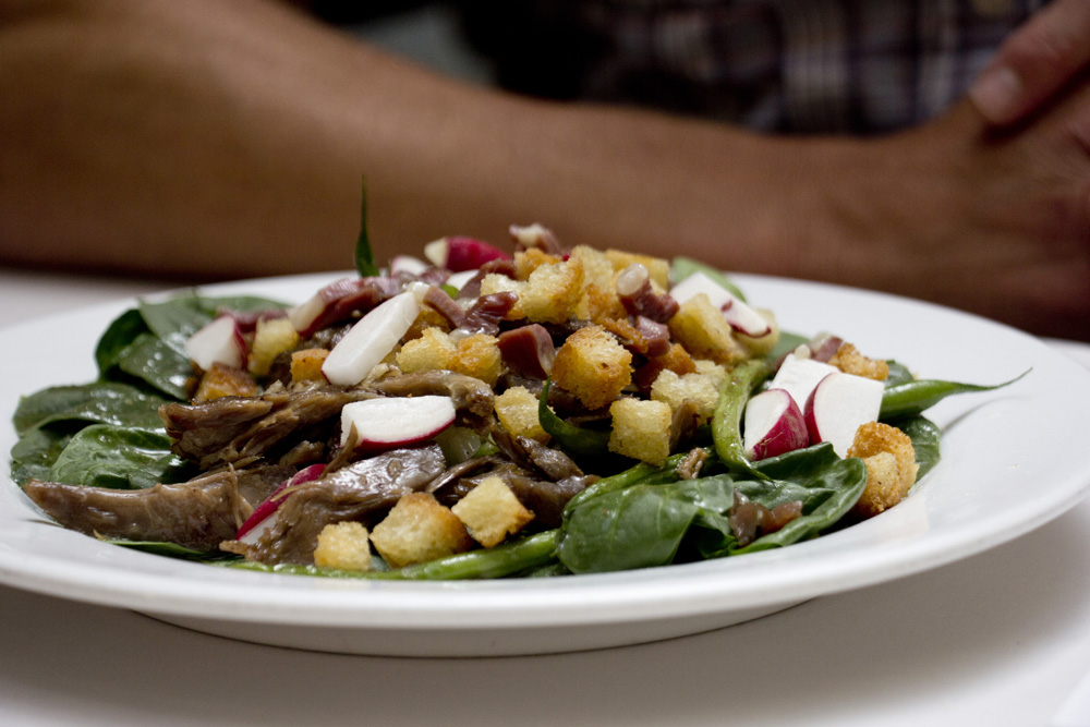 Duck confit at L'Express | Montreal, Canada