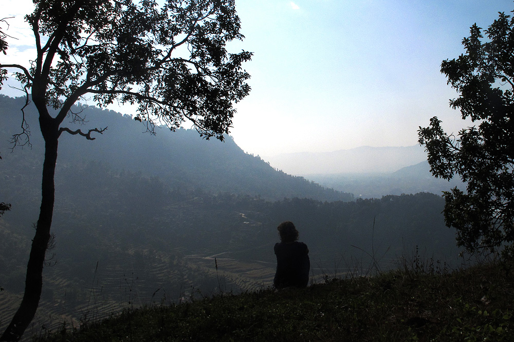 Rice field morning mist | Pokhara, Nepal