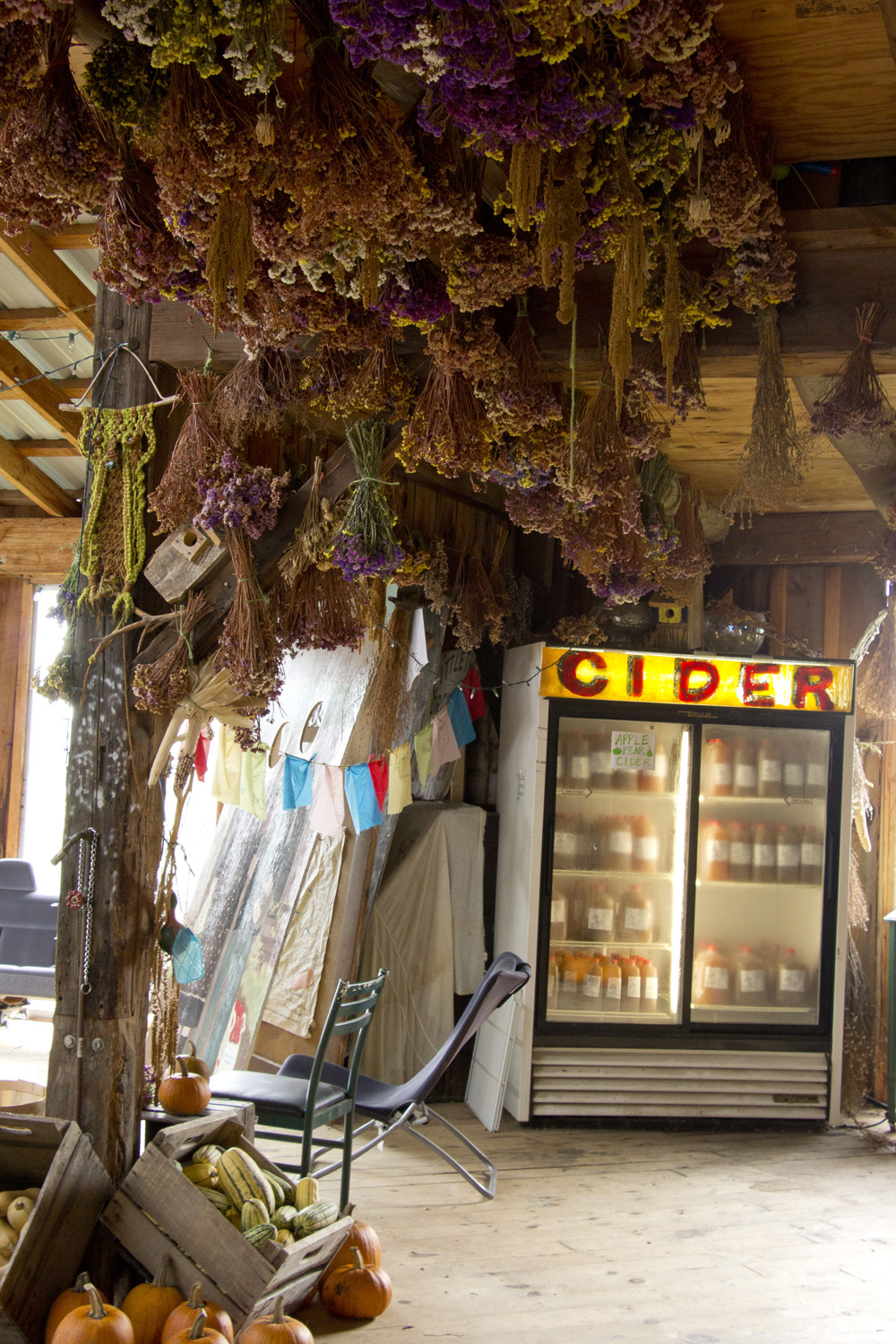 Inside Little Tree Orchard | Ithaca, New York