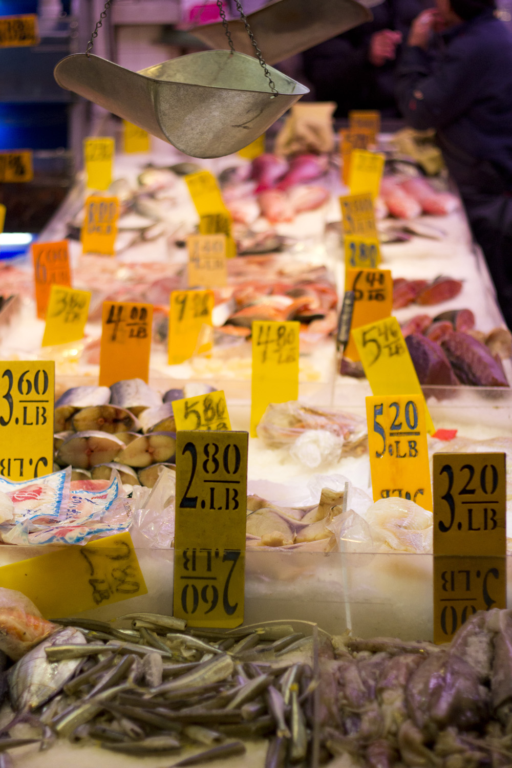 Chinatown fish market | New York City