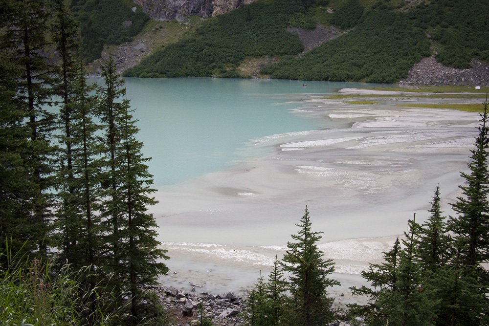 Glacial blue water on the far side of Lake Louise | Banff, Canada