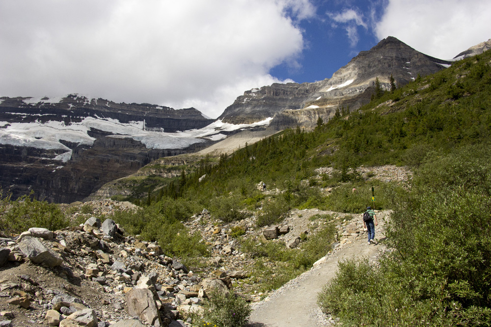 High trail on the Plain of Six Glaciers hike at Lake Louise | Banff, Canada