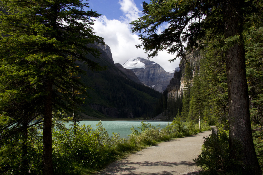 Peek beyond the trees at Lake Louise | Banff, Canada