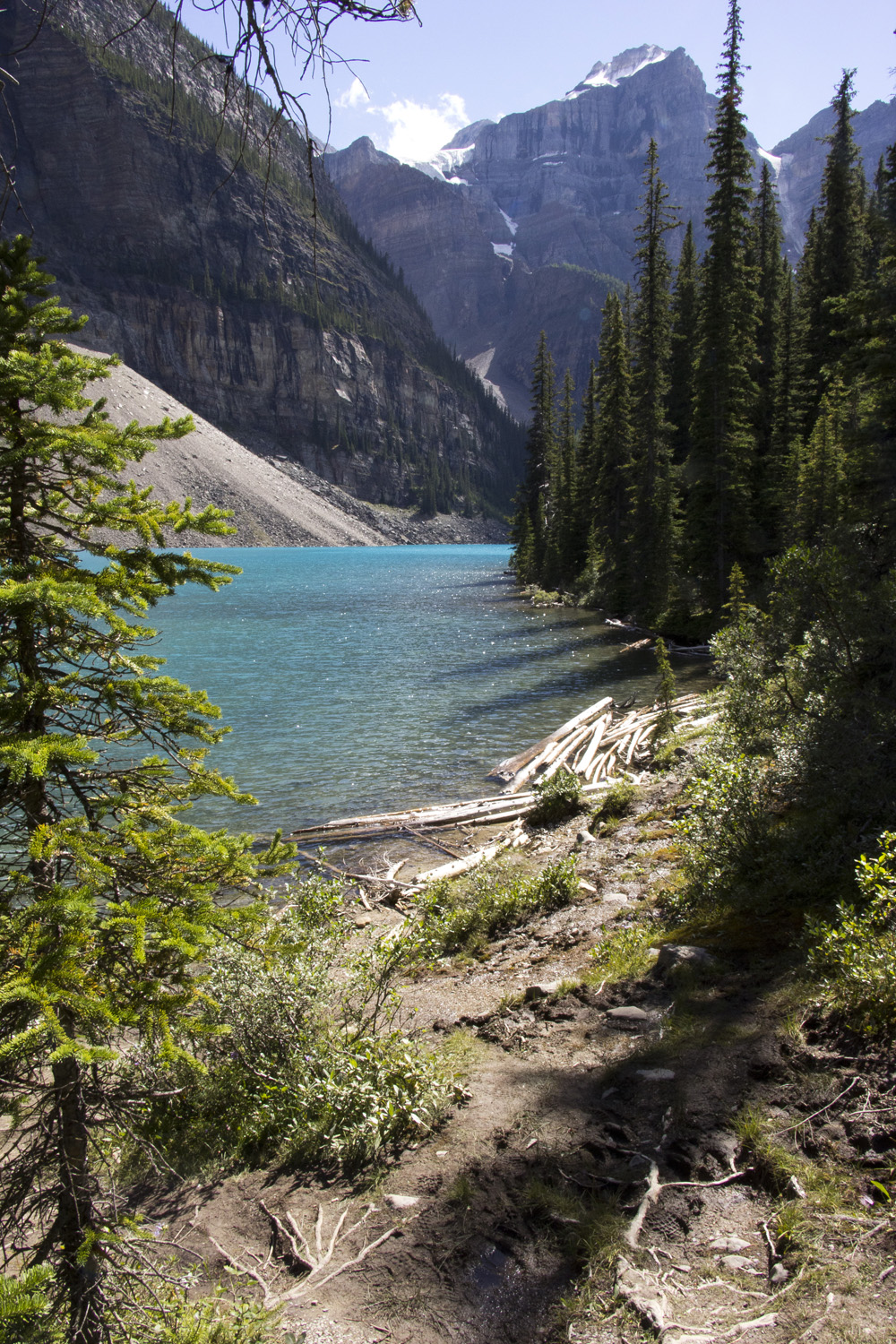 Views from the lakeside trail of Lake Moraine | Banff, Canada