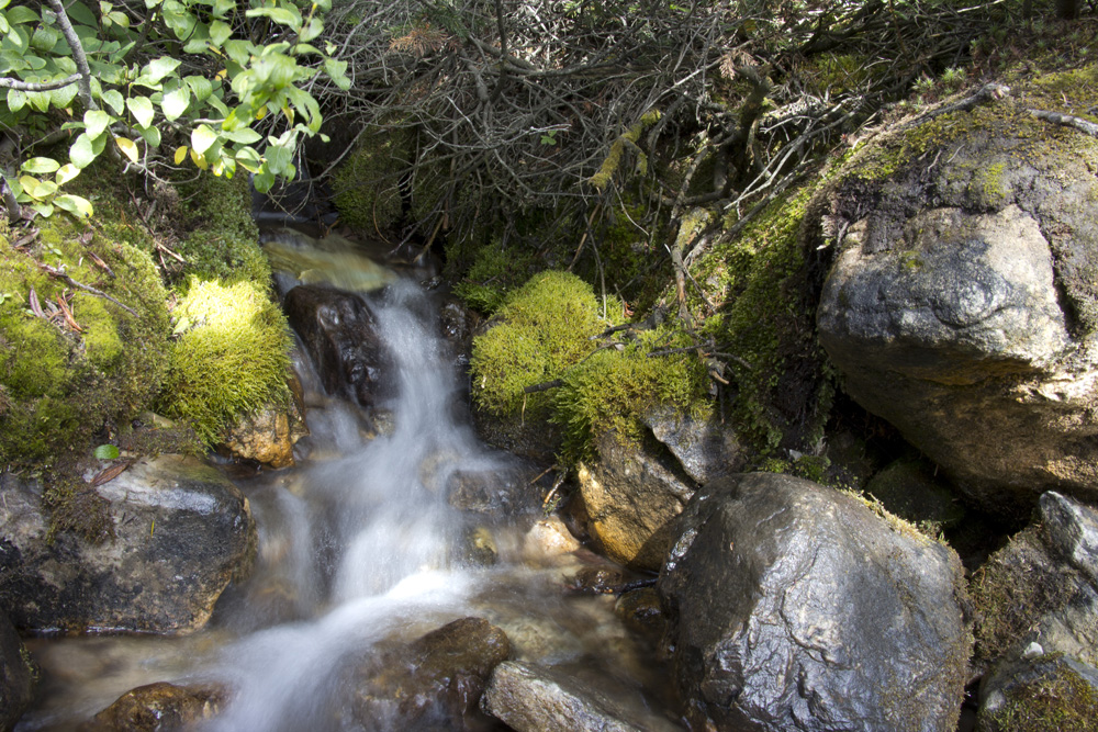 Waterfallalong the lakeside trail at Lake Louise | Banff, Canada