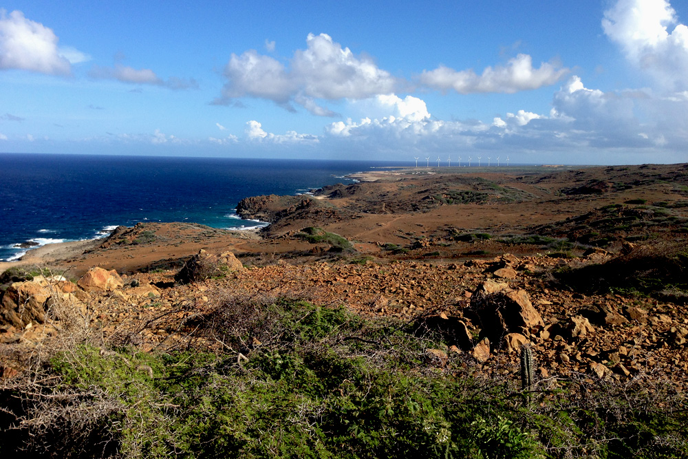 Windmills on the windward coast | Aruba