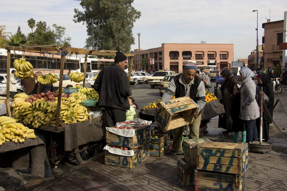 Setting up the fruit market | Marrakech, Morocco
