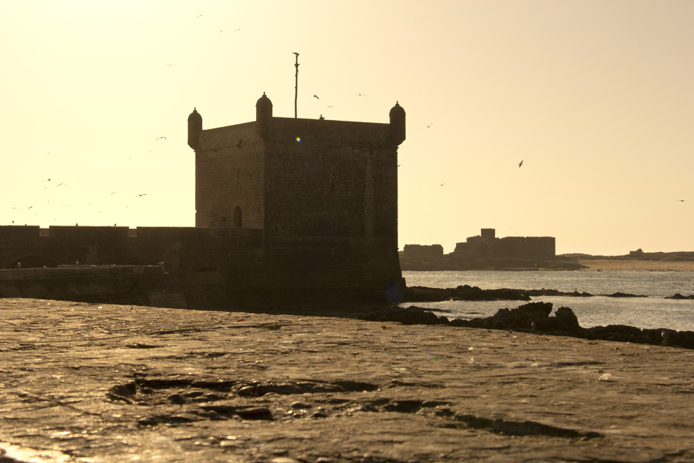 Golden hour fortress walls | Essaouira, Morocco