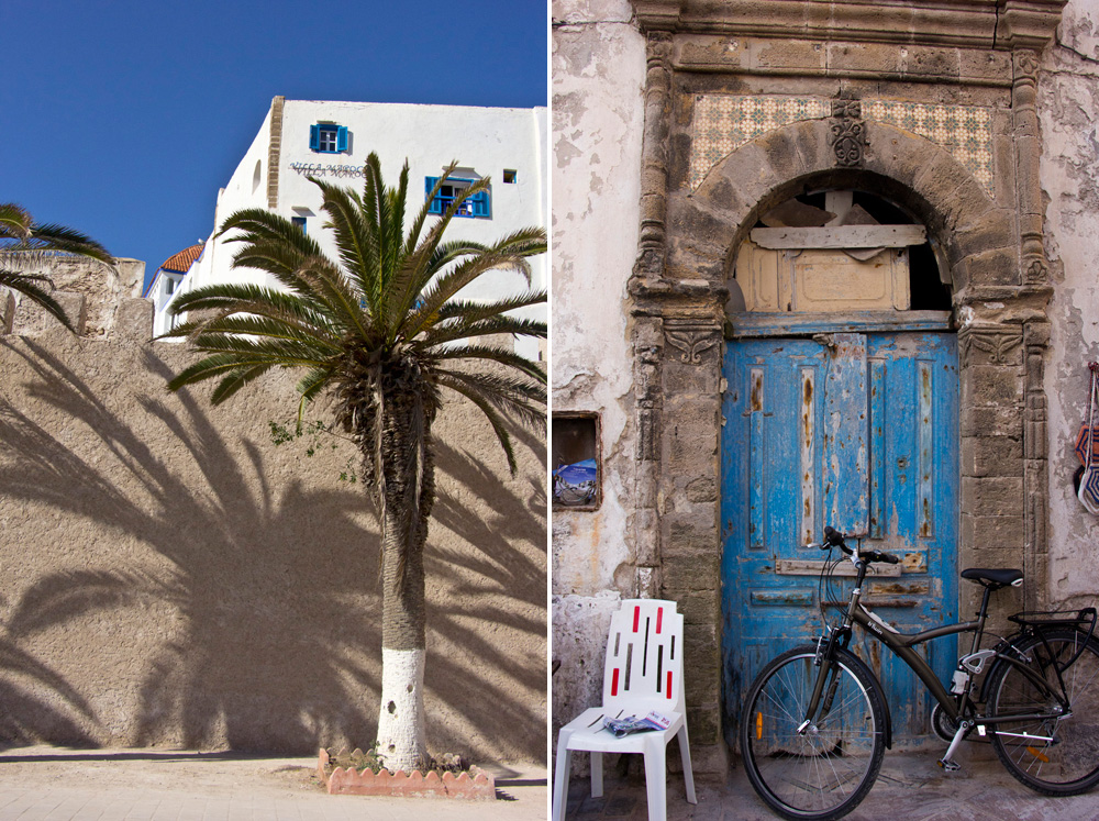 Palm tree and blue door in the medina | Essouira, Morocco