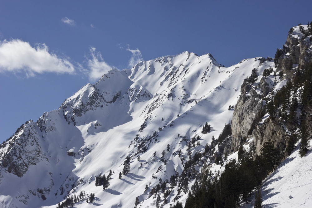 Peaks near Alta Ski Area | Utah