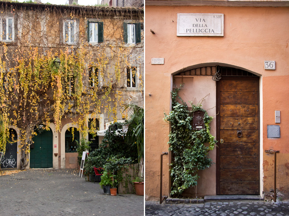 Ivy and a wooden doorway in Trastevere | Rome, Italy