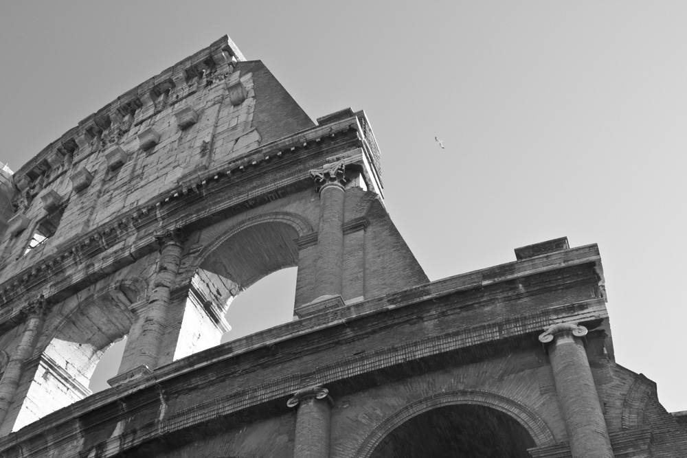 Looking up at the Colosseum | Rome, Italy