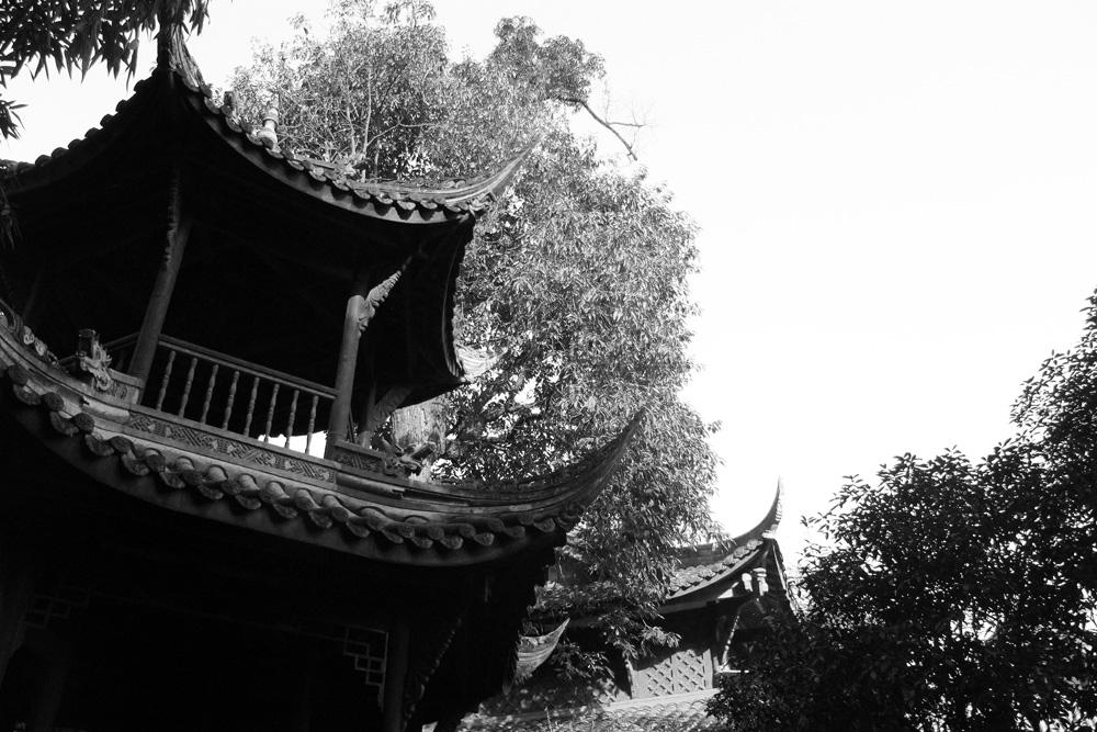 Looking up at Wuhou Temple | Chengdu, China