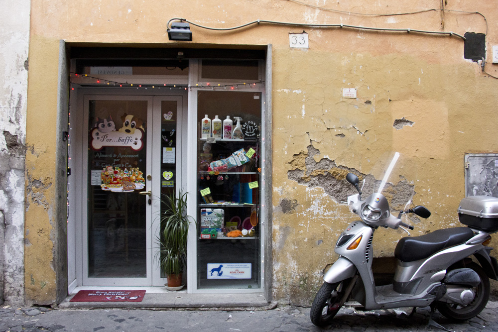 Pet shop in Trastevere | Rome, Italy