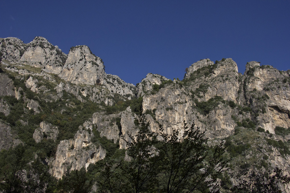 Looking up | Amalfi Coast | Italy