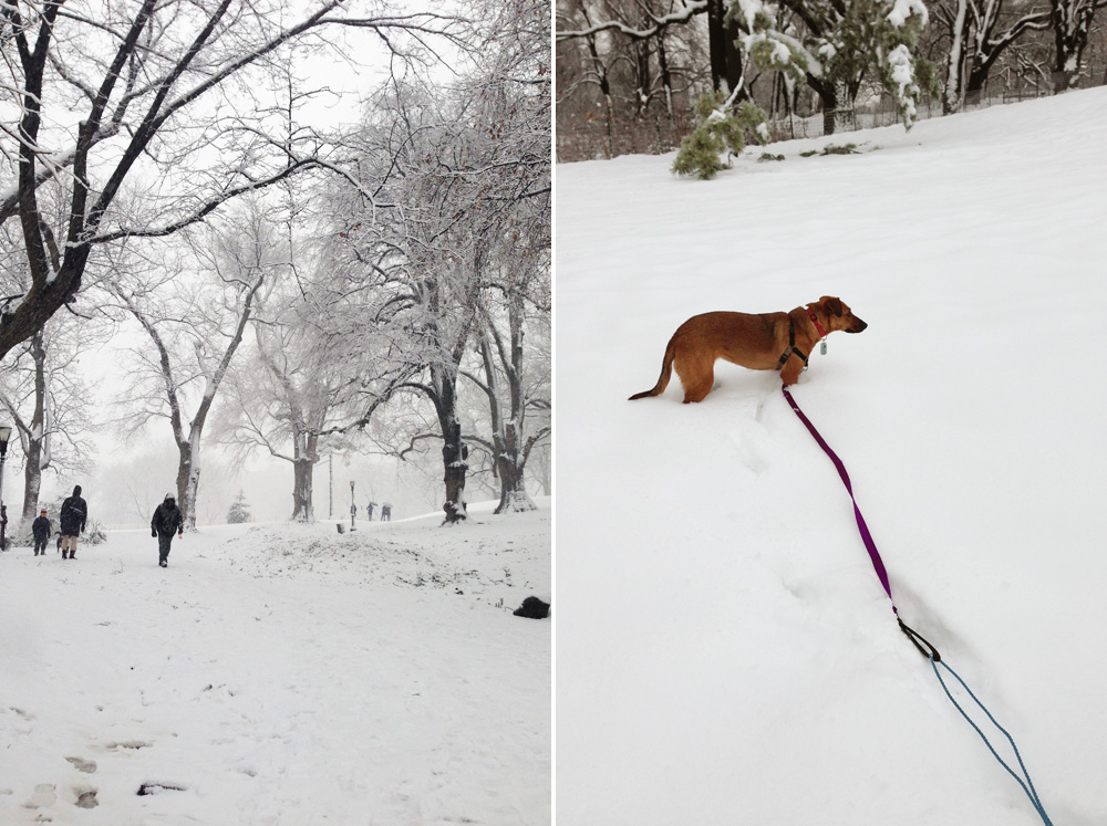 Playing in a Brooklyn ice storm