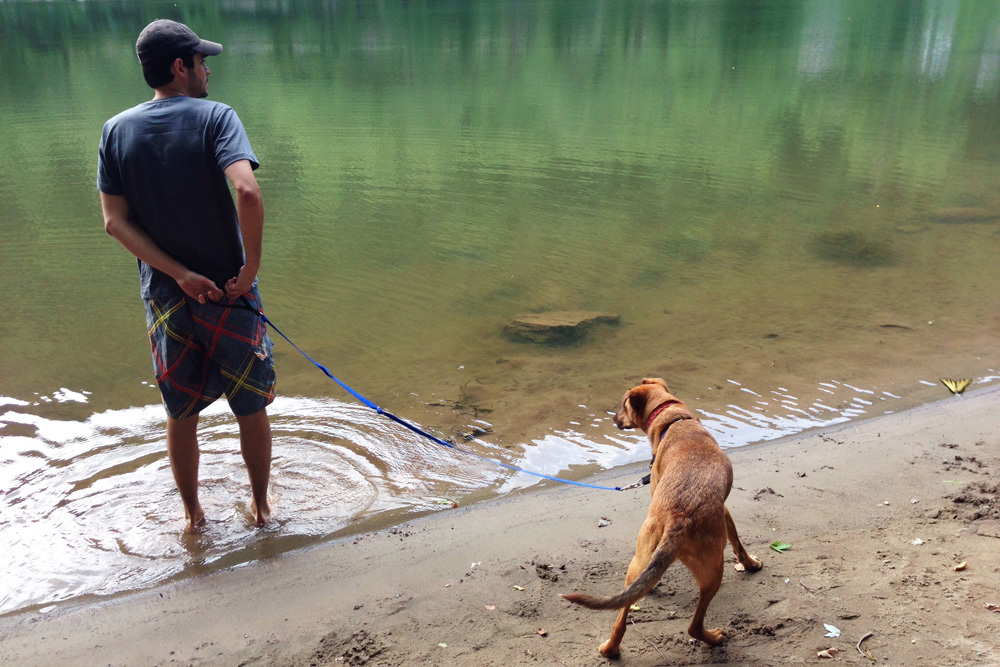 Bodie wary of swimming | Delaware Water Gap, New Jersey