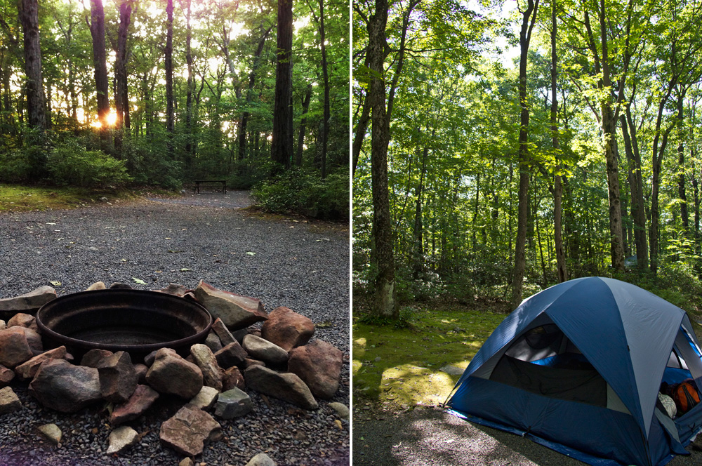 Campfire in the trees | Poconos, Pennsylvania