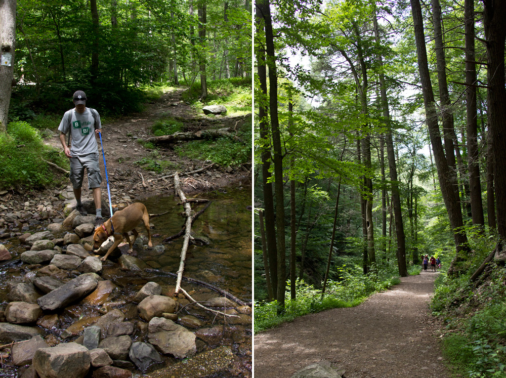 Fording through the pines | Appalachain Trail, New Jersey