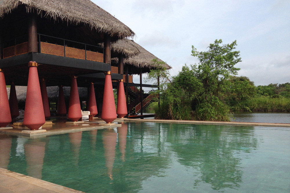 Infinity pool at the Vil Uyana | Sigiriya, Sri Lanka