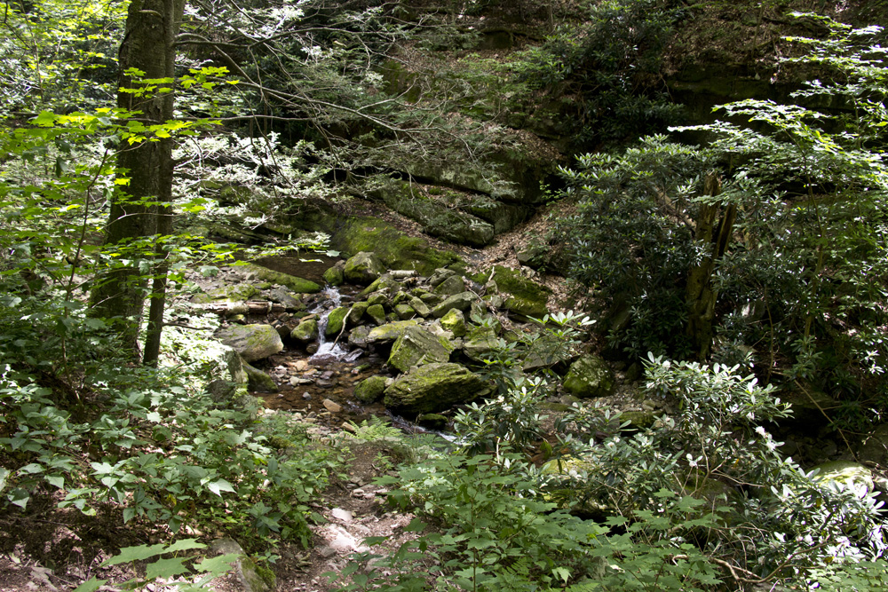 Mossy rocks on the Appalachain Trail | Delaware Water Gap, New Jersey