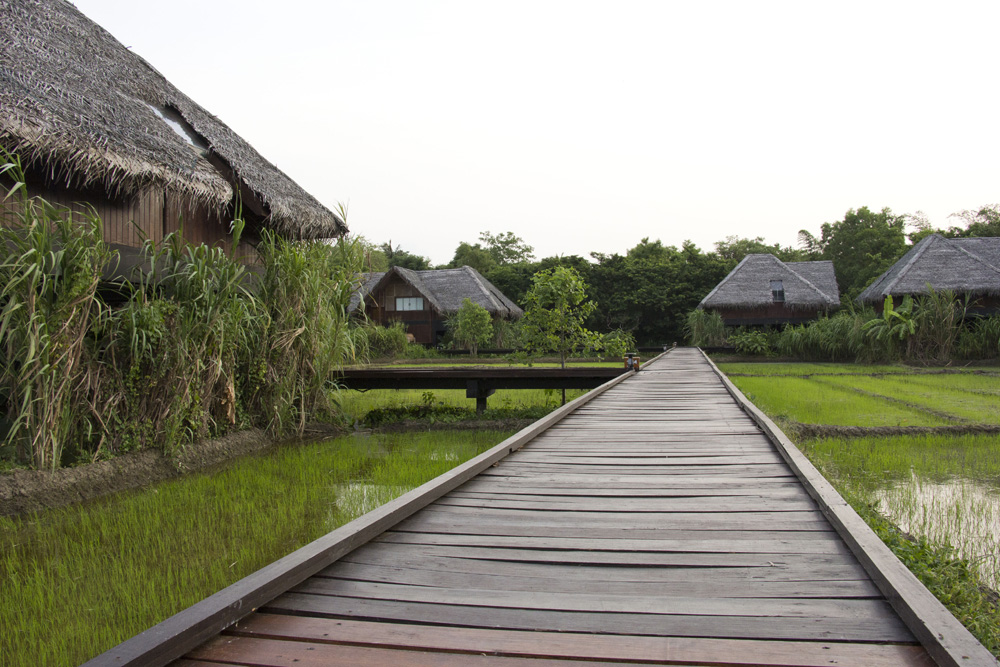 Paddy villas at the Vil Uyana | Sri Lanka