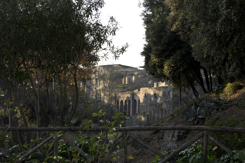 Pompeii through the trees | Italy