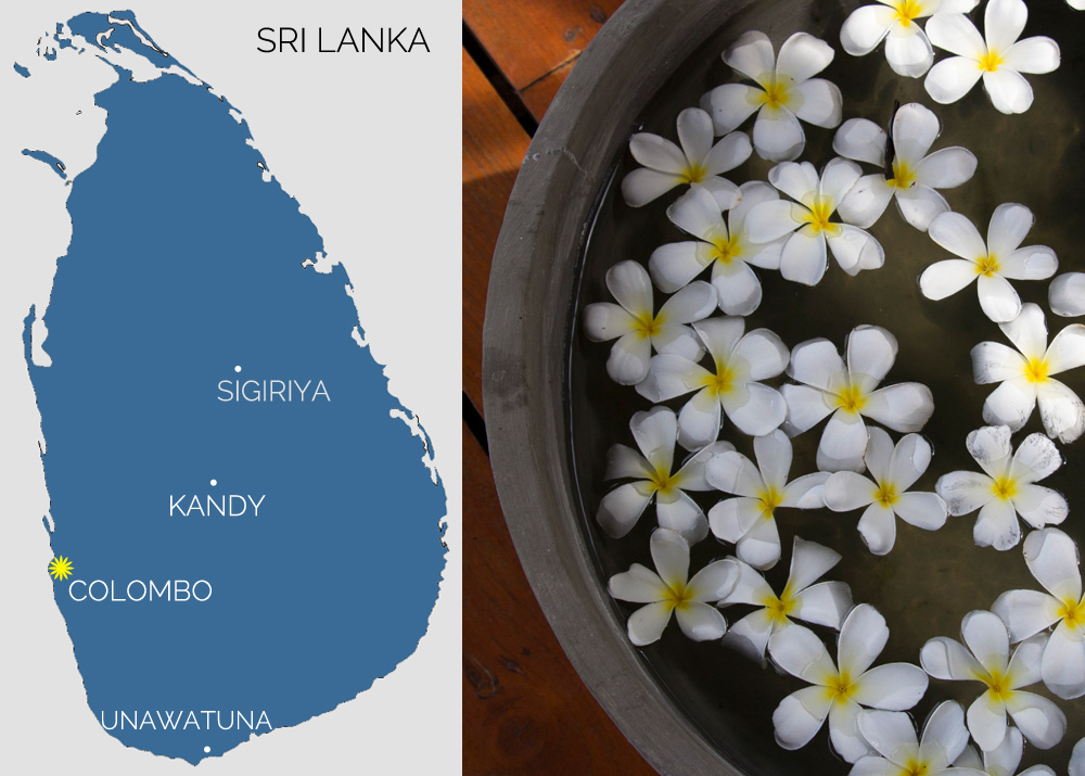 Sri Lanka trip map with Frangipani