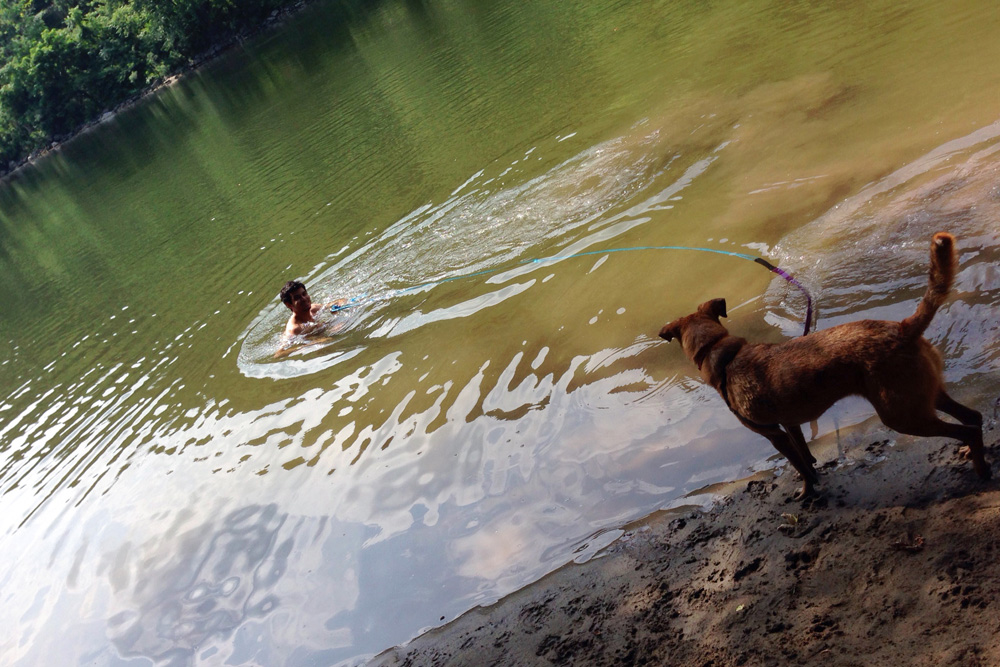 Stubborn | Delaware Water Gap, New Jersey