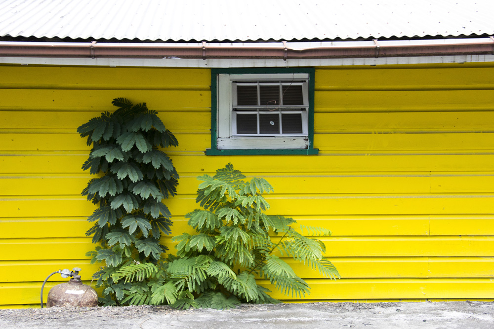 Yellow trailer house in Cruz Bay | St John, USVI