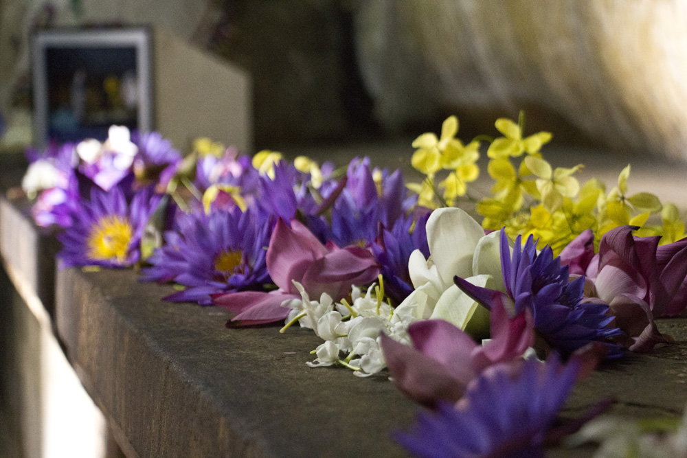 Flower offerings inside cave | Dambulla, Sri Lanka