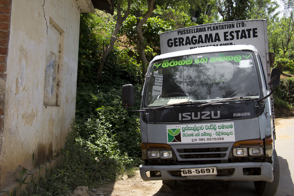 Tea truck | Geragama Tea Estate. Kandy, Sri Lanka