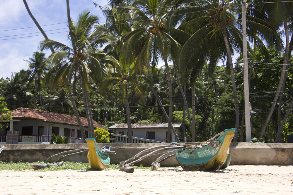 Boats by the beach | Unawatuna, Sri Lanka