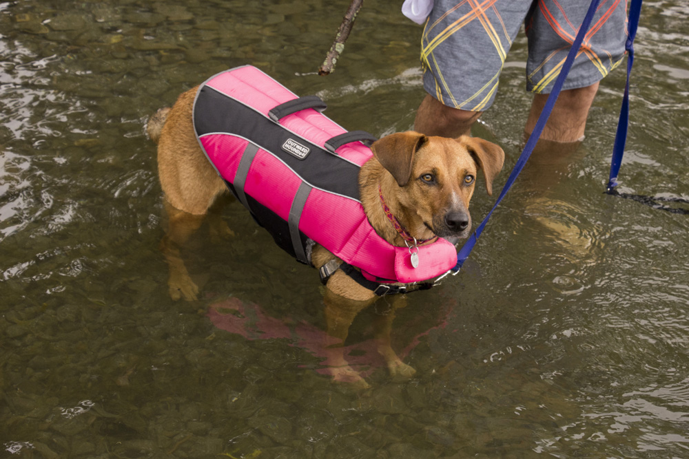 Bodie modeling her life jacket | Lansing, New York