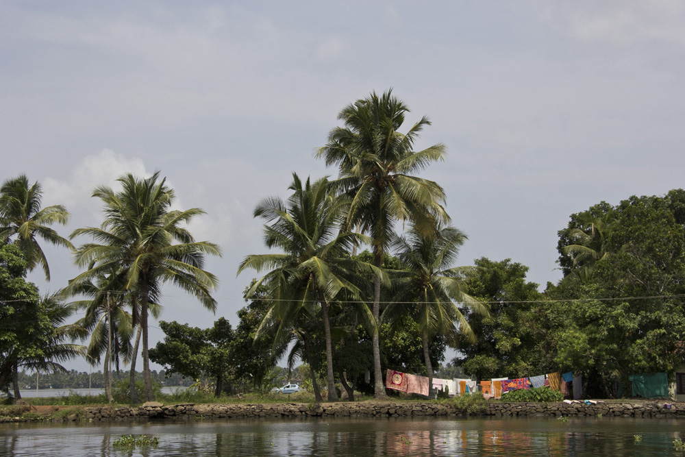 Colorful laundry | Kerala backwaters, India